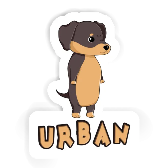 Dackel Sticker Urban Notebook Dackel Sticker Urban Gift package Image