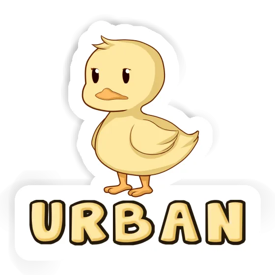 Urban Autocollant Canard Laptop Image