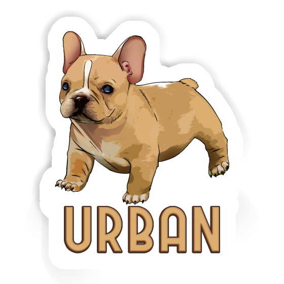 Autocollant Bouledogue Urban Notebook Autocollant Bouledogue Urban Gift package Image