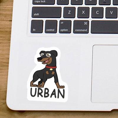 Pinscher Autocollant Urban Notebook Pinscher Autocollant Urban Notebook Image