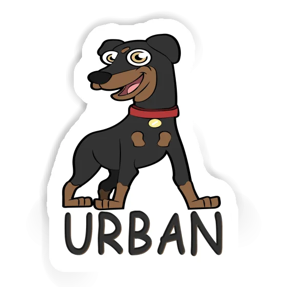 Pinscher Autocollant Urban Notebook Pinscher Autocollant Urban Gift package Image