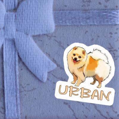 Autocollant Spitz allemand Urban Laptop Autocollant Spitz allemand Urban Laptop Image