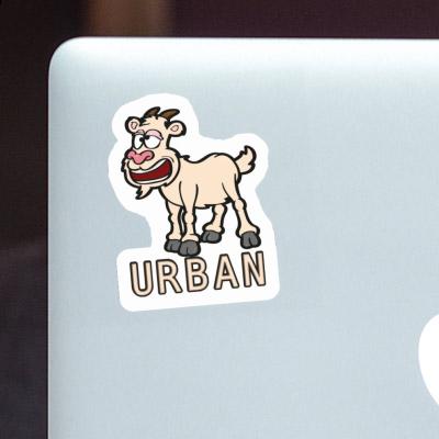 Sticker Goat Urban Image