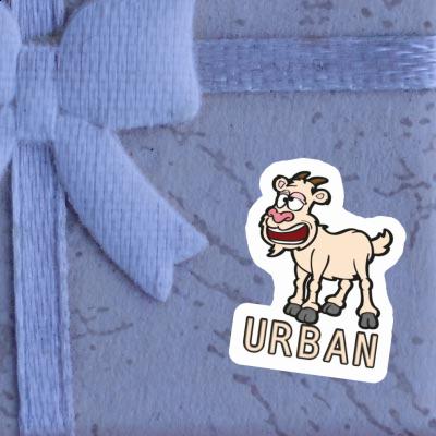 Sticker Ziege Urban Notebook Sticker Ziege Urban Gift package Image