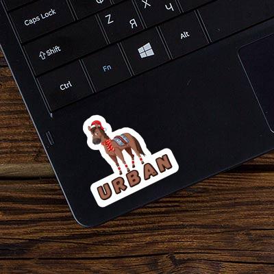 Urban Sticker Christmas Horse Gift package Image
