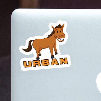 Urban Sticker Horse Gift package Image