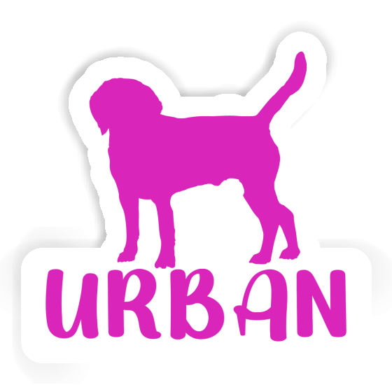 Hund Aufkleber Urban Notebook Hund Aufkleber Urban Gift package Image