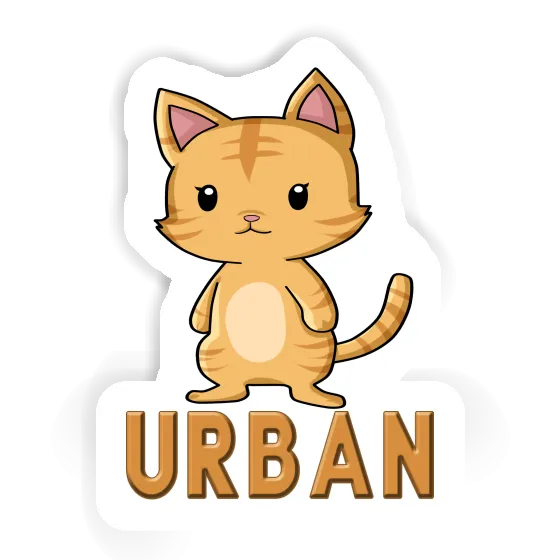 Autocollant Chaton Urban Notebook Autocollant Chaton Urban Gift package Image
