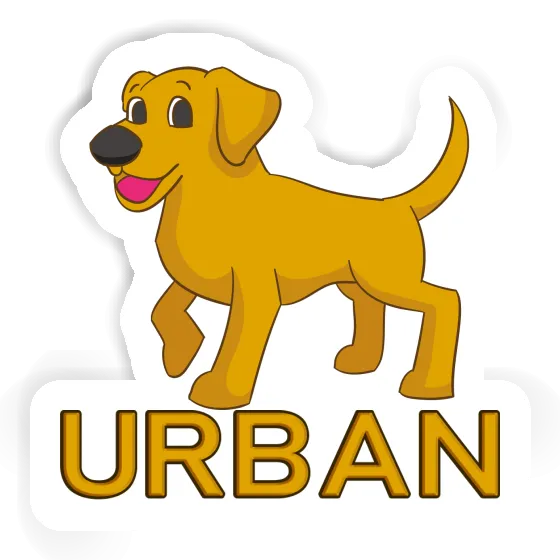 Urban Autocollant Labrador Urban Autocollant Labrador Image