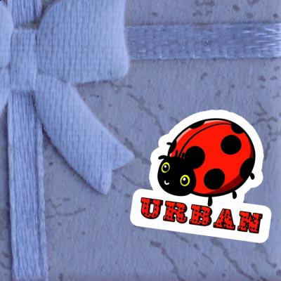 Autocollant Urban Coccinelle Autocollant Urban Coccinelle Image