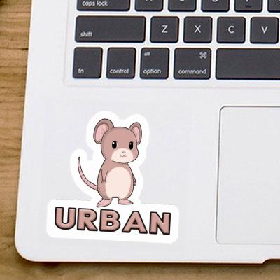 Autocollant Urban Souris Notebook Autocollant Urban Souris Gift package Image