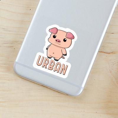 Sticker Urban Schweinchen Notebook Image