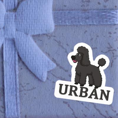 Urban Sticker Pudel Notebook Urban Sticker Pudel Gift package Image