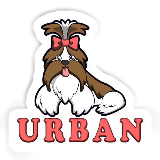 Autocollant Shih Tzu Urban Notebook Autocollant Shih Tzu Urban Notebook Image