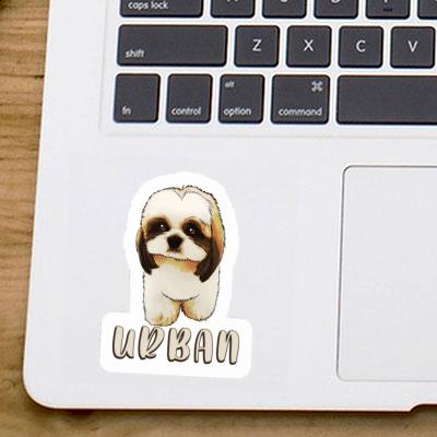 Sticker Urban Shih Tzu Laptop Image