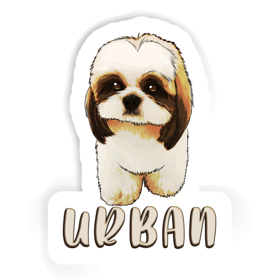 Sticker Urban Shih Tzu Notebook Sticker Urban Shih Tzu Gift package Image