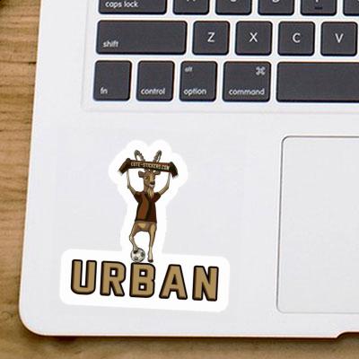 Autocollant Urban Bouquetin Laptop Autocollant Urban Bouquetin Laptop Image
