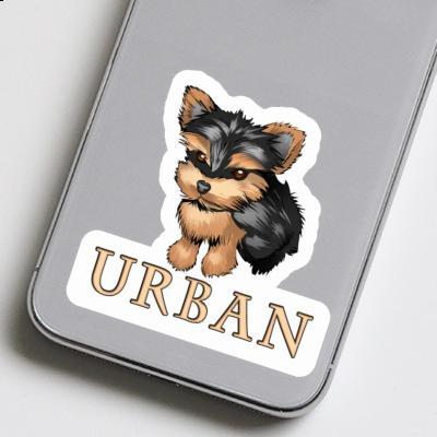 Autocollant Urban Yorkie Notebook Autocollant Urban Yorkie Gift package Image