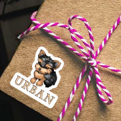 Autocollant Urban Yorkie Notebook Autocollant Urban Yorkie Notebook Image