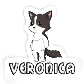Veronica Autocollant Collie border Image