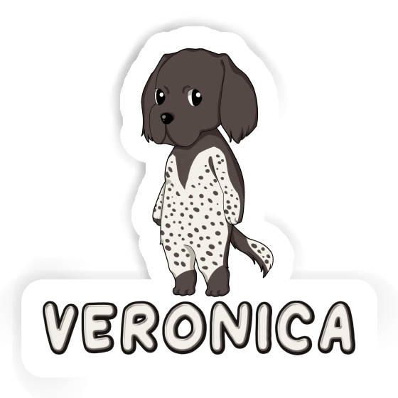 Petit Münsterländer Autocollant Veronica Image