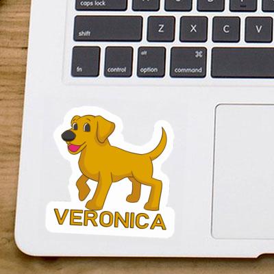 Labrador Autocollant Veronica Gift package Image