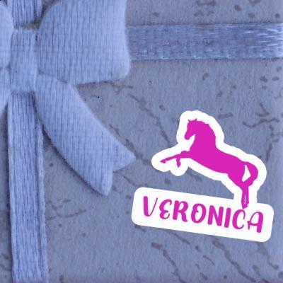 Cheval Autocollant Veronica Notebook Cheval Autocollant Veronica Gift package Image