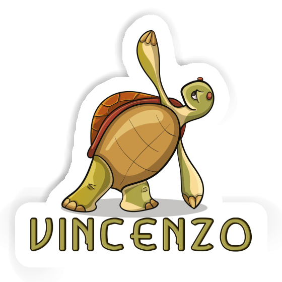 Autocollant Tortue Vincenzo Gift package Image