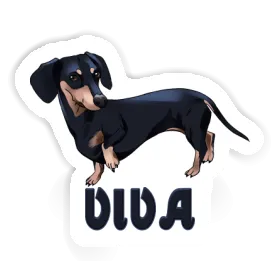 Sticker Viva Dachshund Image