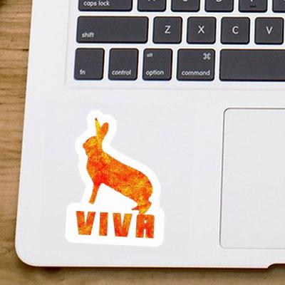 Viva Sticker Rabbit Gift package Image