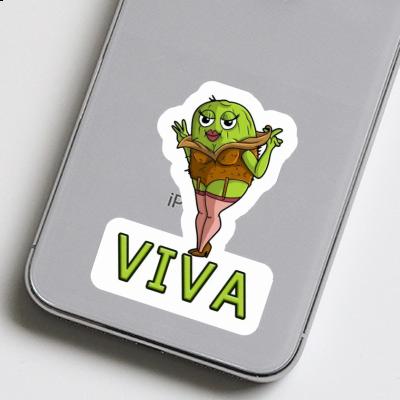 Sticker Viva Kiwi Gift package Image