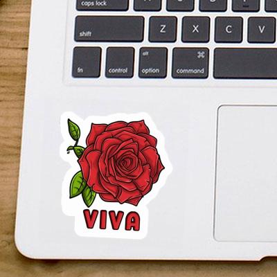 Viva Sticker Rose Gift package Image