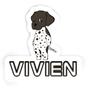 Autocollant Braque Allemand Vivien Image