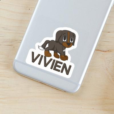 Vivien Sticker Sennenhund Gift package Image