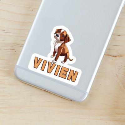 Sticker Boxer Vivien Gift package Image