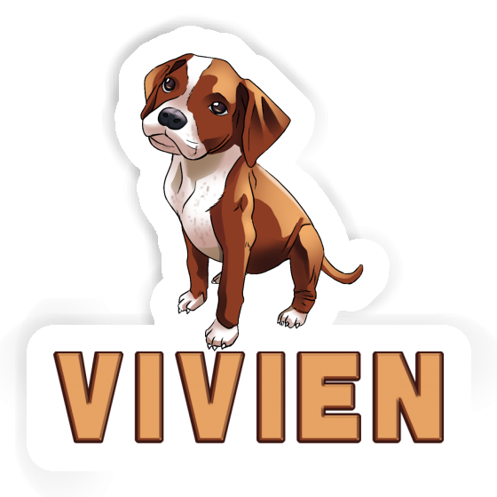 Sticker Boxer Vivien Gift package Image