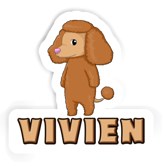 Caniche Autocollant Vivien Image