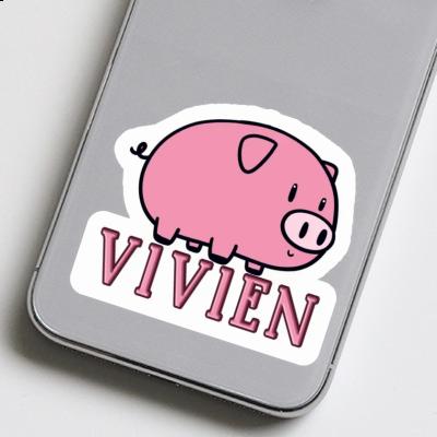 Autocollant Vivien Cochon Gift package Image