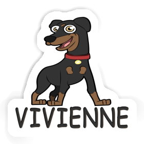 Sticker German Pinscher Vivienne Image