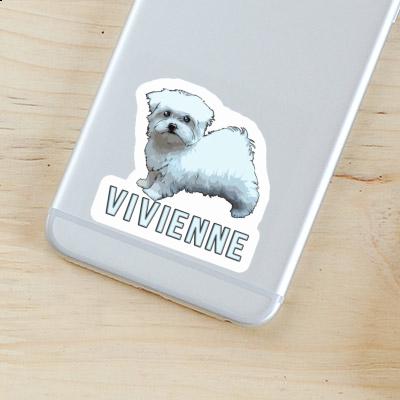 Maltese Sticker Vivienne Maltese Sticker Vivienne Image