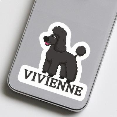 Sticker Vivienne Poodle Gift package Image