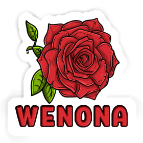 Wenona Autocollant Rose Image