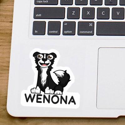 Wenona Sticker Border Collie Gift package Image