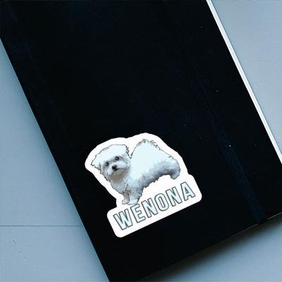 Wenona Sticker Maltese Dog Notebook Image