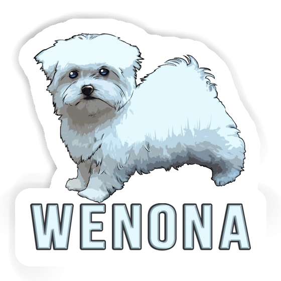 Wenona Sticker Maltese Dog Image