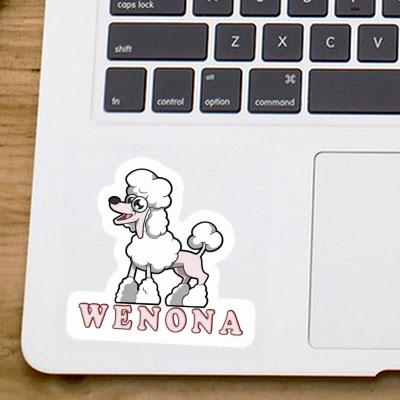 Sticker Wenona Poodle Gift package Image