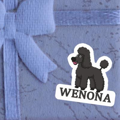 Sticker Poodle Wenona Gift package Image