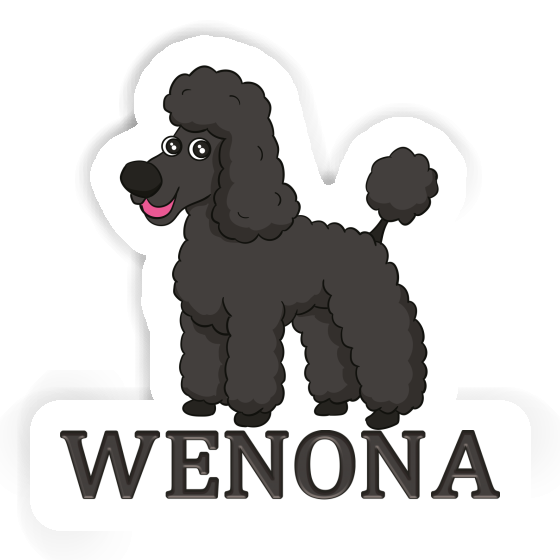 Sticker Poodle Wenona Gift package Image