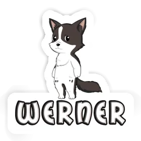 Werner Sticker Border Collie Image