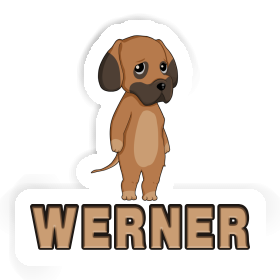 Sticker Deutsche Dogge Werner Image